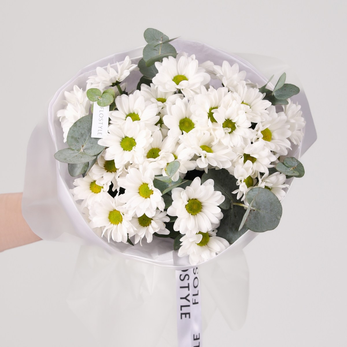 hrizantema romashka 667